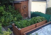 Orto sul terrazzo 892 0 L ORTO SUL TERRAZZO